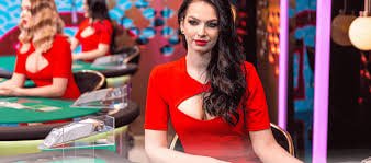 Sportsbook nv777